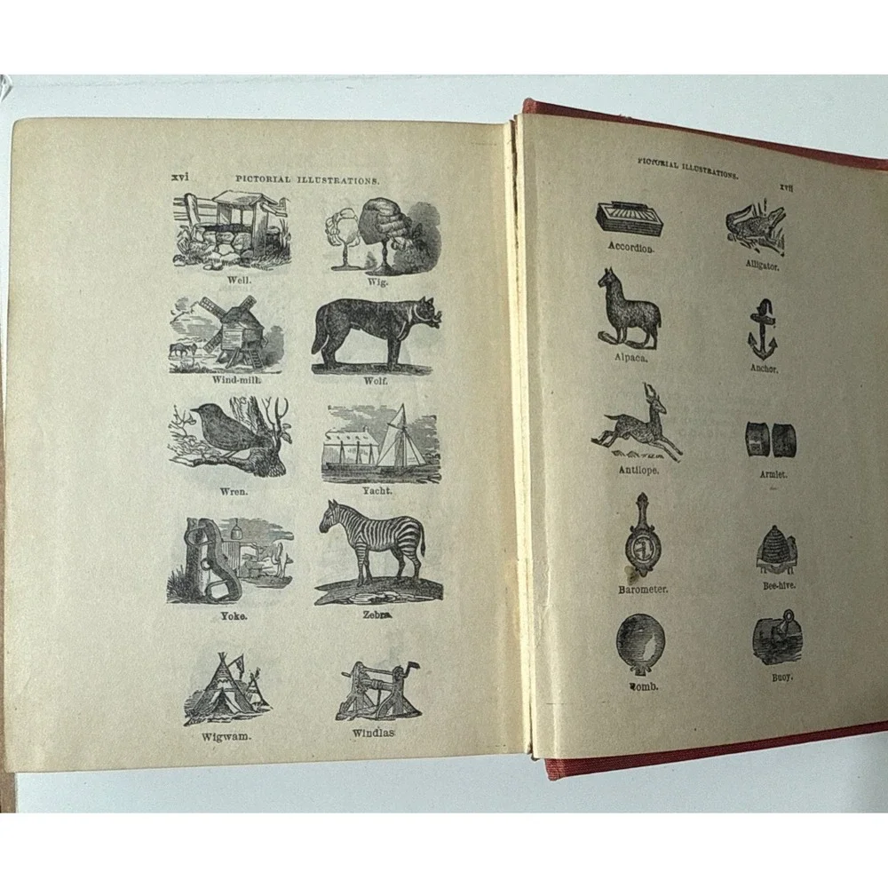 Kohler's Germans English Dictionary‎ by Dr Frederich Kohler Illustrated HC - Picture 12 of 16